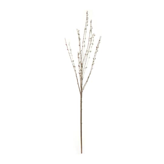 Pussy Willow Stem by Ashland®
